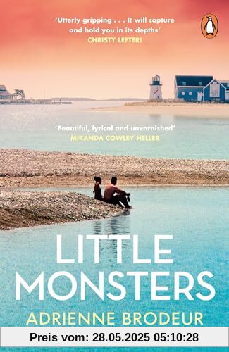 Little Monsters: PERFECT FOR FANS OF FLEISHMAN IS IN TROUBLE AND THE PAPER PALACE
