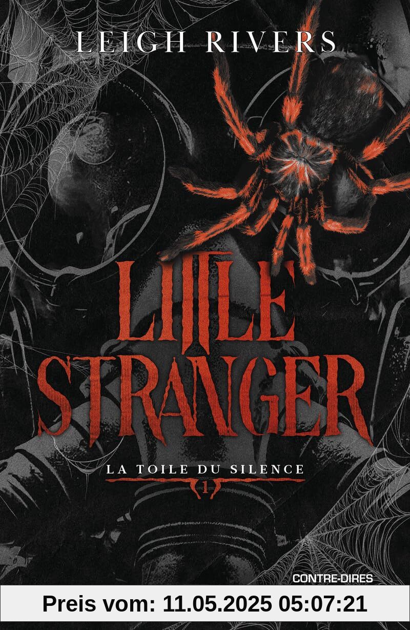 Little Stranger - Tome 1 La toile du Silence