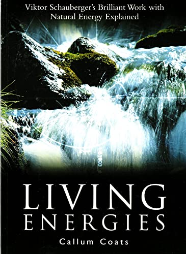 Living Energies: Viktor Scahuberger's Brilliant Work With Natural Energy Explained