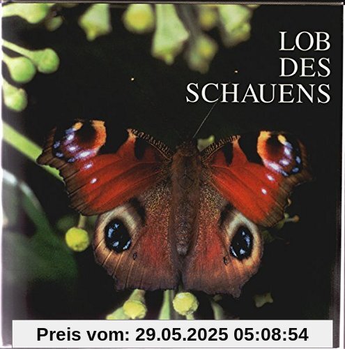 Lob des Schauens Lob des Schauens