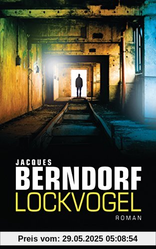 Lockvogel: Roman