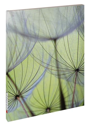 Löwenzahnsamen: Blankbook (Blankbook (RB906))