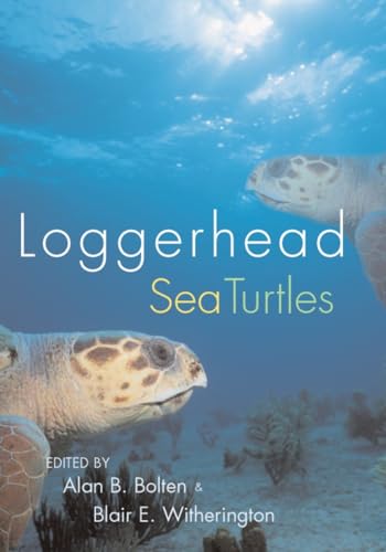 Loggerhead Sea Turtles Loggerhead Sea Turtles