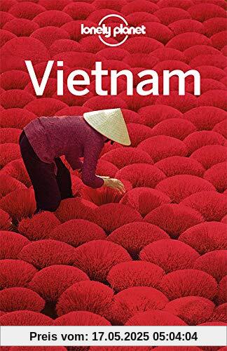 Lonely Planet Reiseführer Vietnam (Lonely Planet Reiseführer Deutsch)