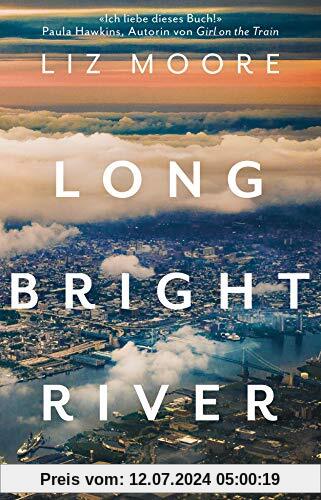Long Bright River: Roman