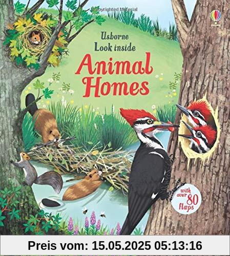 Look Inside Animal Homes