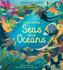 Look Inside Seas and Oceans von Usborne Publishing