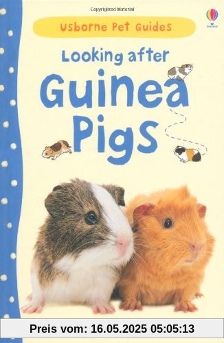 Looking After Guinea Pigs (Usborne Pet Guides)