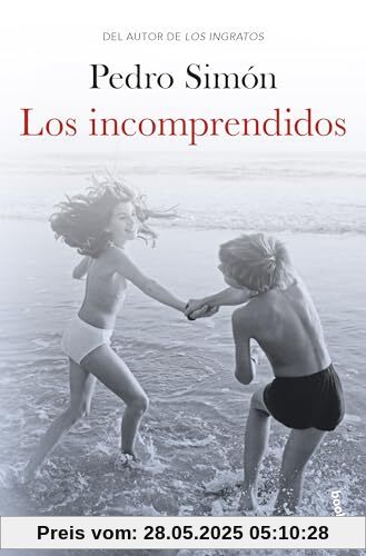 Los incomprendidos (Novela)