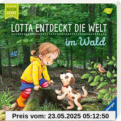 Lotta entdeckt die Welt: Im Wald