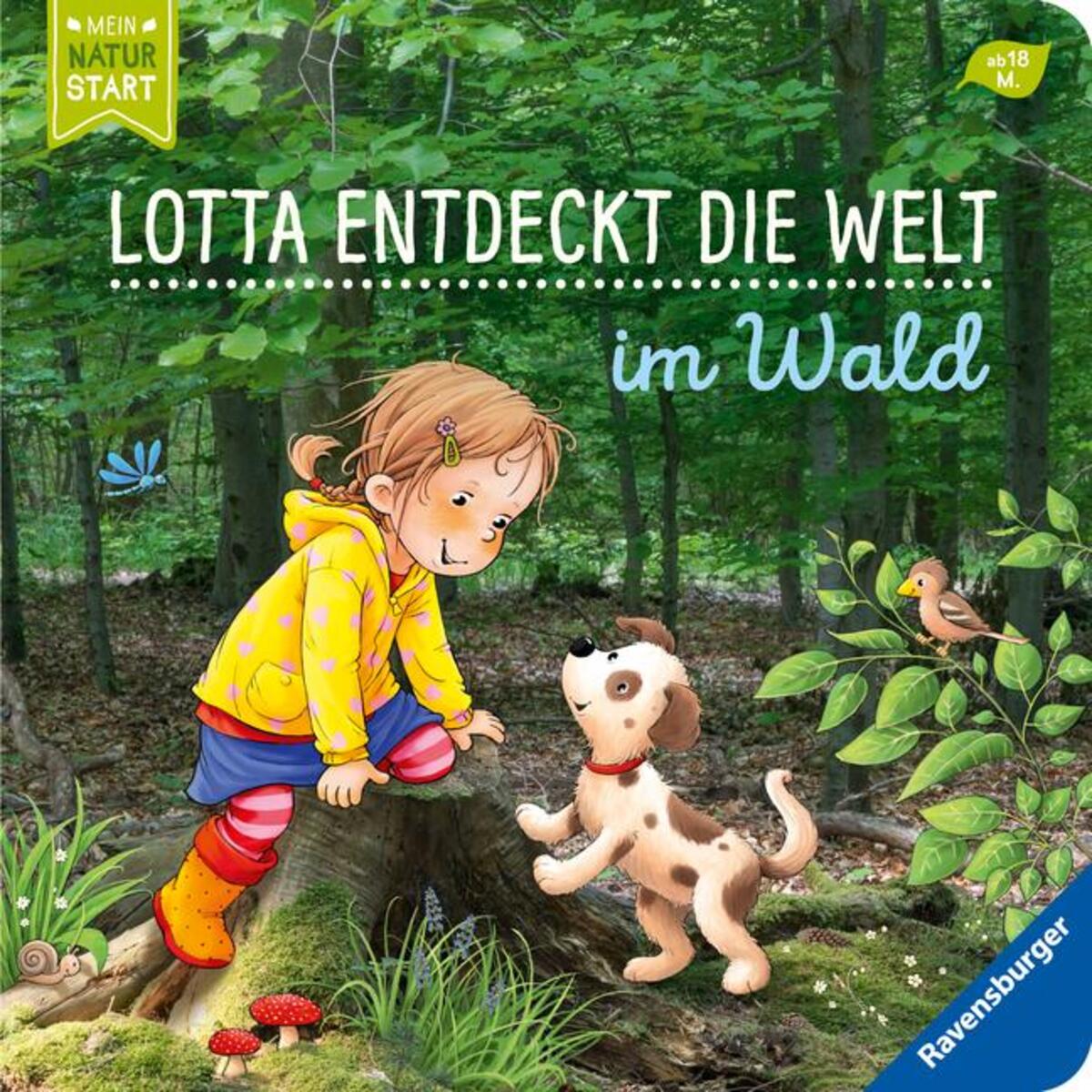 Lotta entdeckt die Welt: Im Wald von Ravensburger Verlag