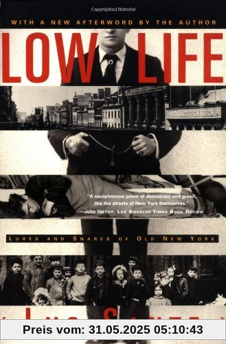 Low Life: Lures and Snares of Old New York