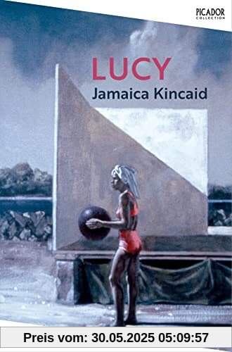 Lucy (Picador Collection, 19)