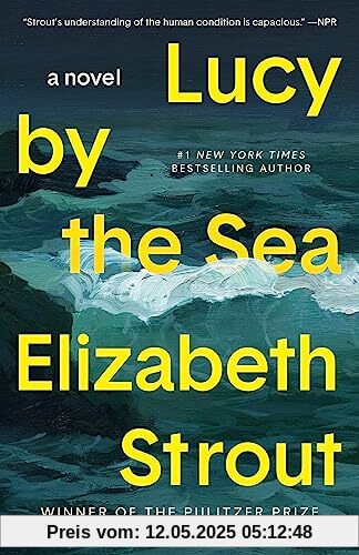 Lucy by the Sea: A Novel