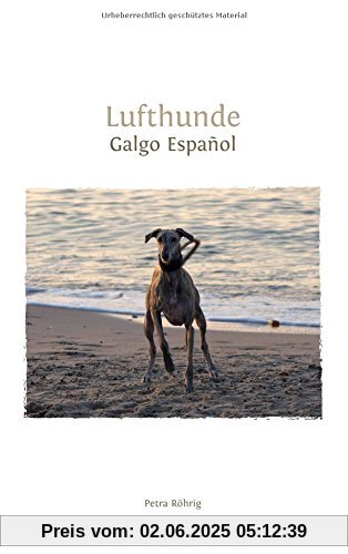 Lufthunde: Galgo Español