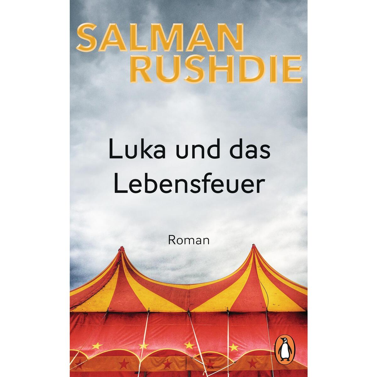 Luka und das Lebensfeuer von Penguin TB Verlag