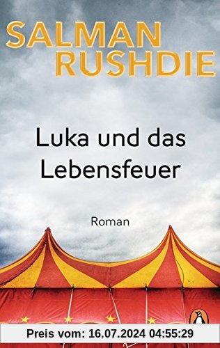Luka und das Lebensfeuer: Roman