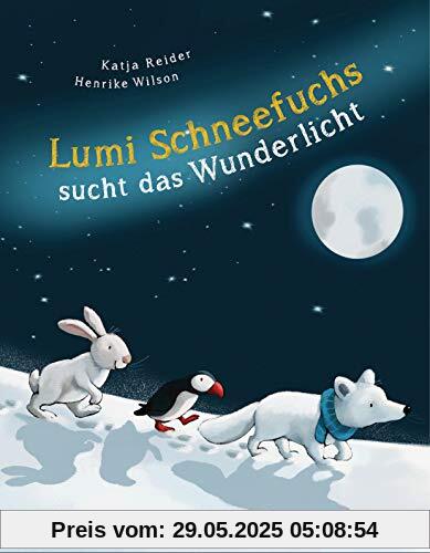 Lumi Schneefuchs sucht das Wunderlicht