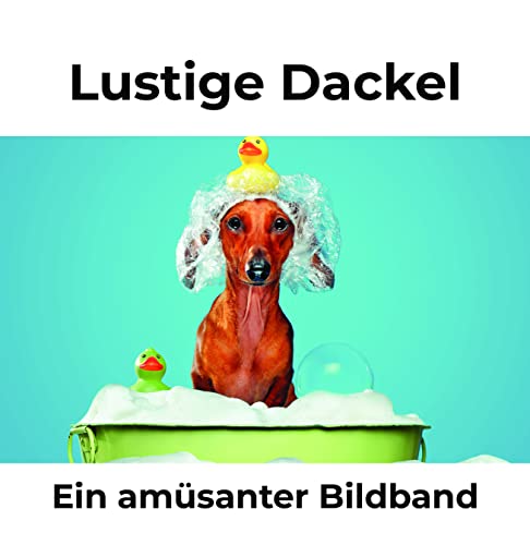 Lustige Dackel: Ein amüsanter Bildband von 27 Amigos