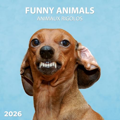 Lustige Tiere 2026: Kalender 2026 (Artwork Edition) von Tushita PaperArt