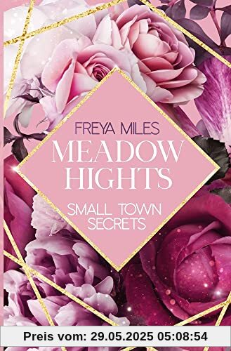 MEADOW HIGHTS: Small Town Secrets MEADOW HIGHTS: Small Town Secrets
