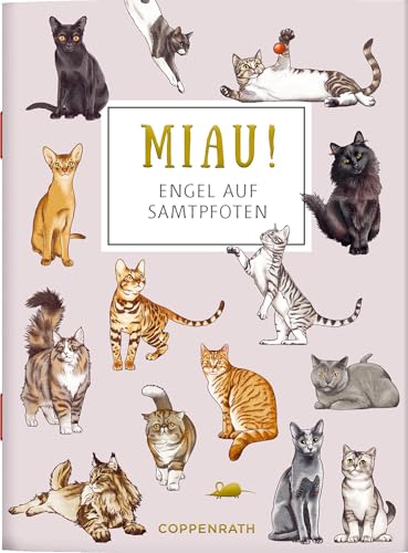 MIAU! - Engel auf Samtpfoten (Schöne Grüße) von Coppenrath Verlag GmbH & Co. KG