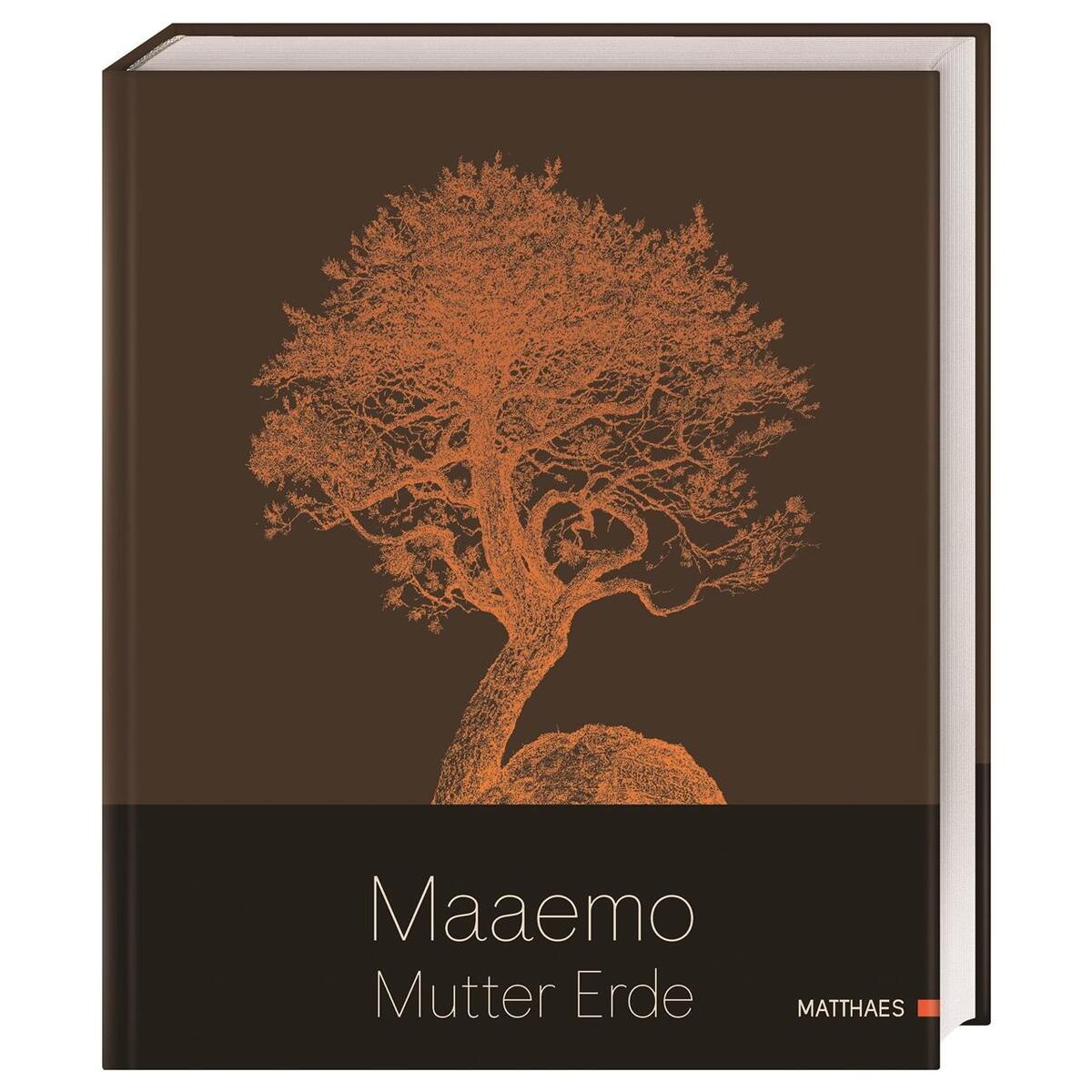 Maaemo Maaemo von Matthaes