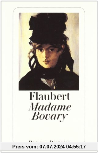 Madame Bovary: Sitten der Provinz