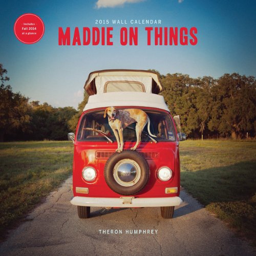 Maddie on Things Wall Calendar (Calendars 2015) von Chronicle Books