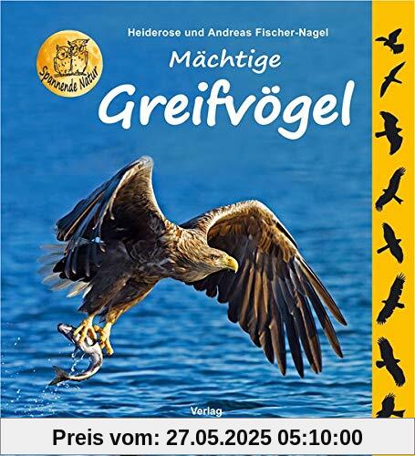 Mächtige Greifvögel