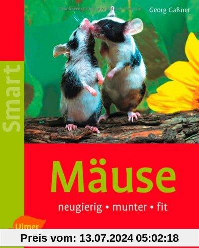 Mäuse: neugierig - munter - fit