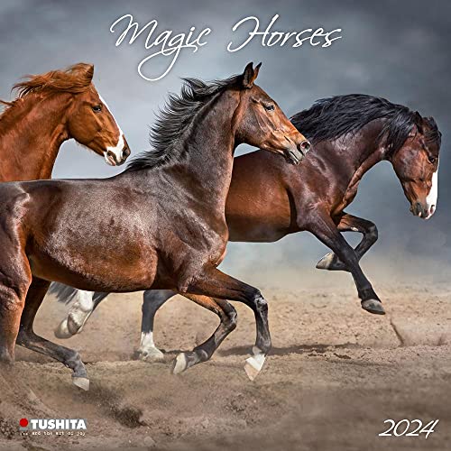Magic Horses 2024: Kalender 2024 (Wonderful World)