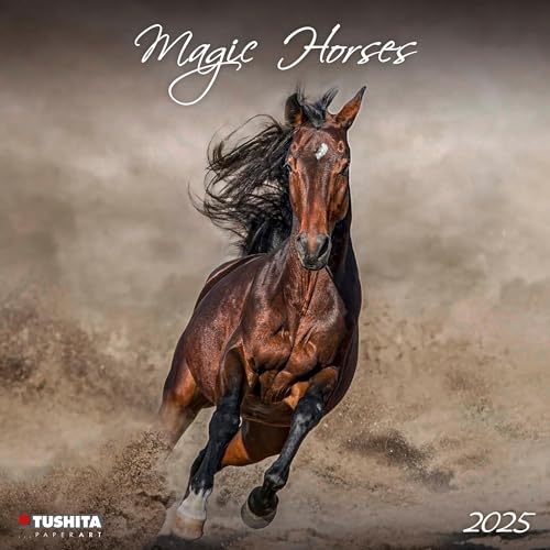Magic Horses 2025: Kalender 2025 (Wonderful World)
