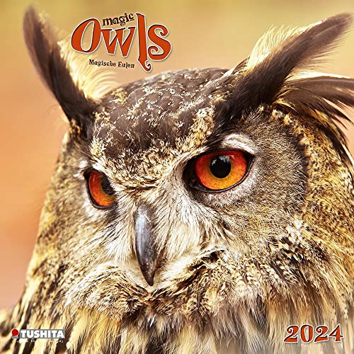 Magic Owls 2024: Kalender 2024 (Wonderful World) von Tushita PaperArt