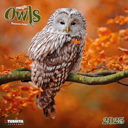 Magic Owls 2025: Kalender 2025 (Wonderful World)