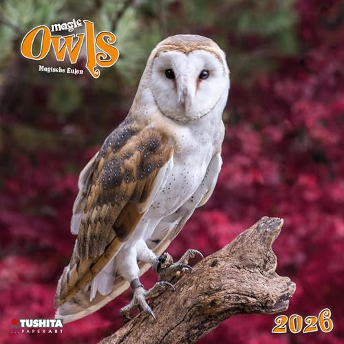 Magic Owls 2026: Kalender 2026 (Wonderful World) von Tushita PaperArt