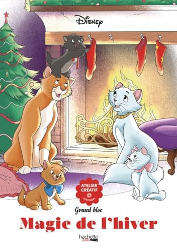 Magie de l'hiver von HACHETTE HEROES