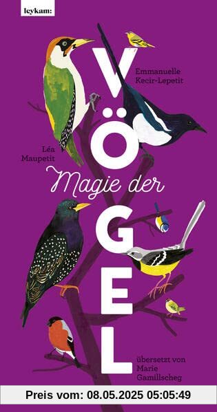 Magie der Vögel