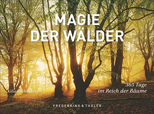 Tischaufsteller Magie der Wälder: 365 Tage im Reich der Bäume