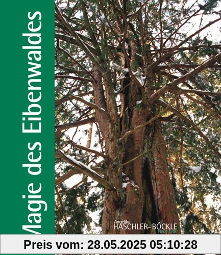 Magie des Eibenwaldes