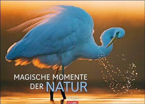 Magische Momente der Natur Kalender 2021: Die schönsten Tierfotografien
