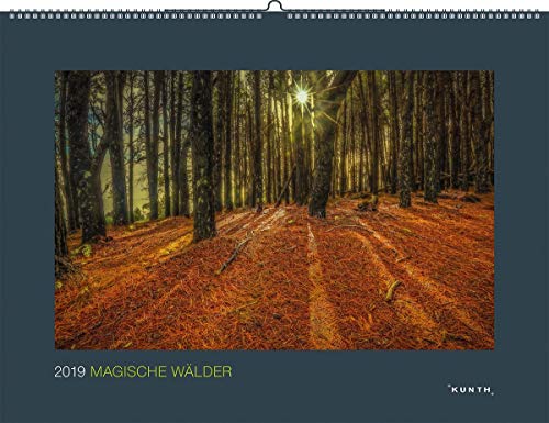 Magische Wälder 2021: Wandkalender (KUNTH Wandkalender Black Edition) von Kunth GmbH & Co. KG