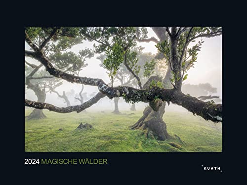 Magische Wälder - KUNTH Wandkalender 2024: Hochwertiger, bildstarker Kalender mit Spiralbindung im Großformat (KUNTH Wandkalender Black Edition 60 x 45 cm)