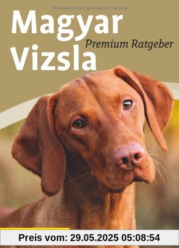 Magyar Vizsla