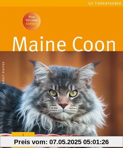 Maine Coon (GU Tierratgeber)