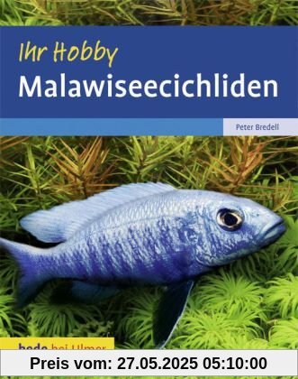 Malawiseecichliden