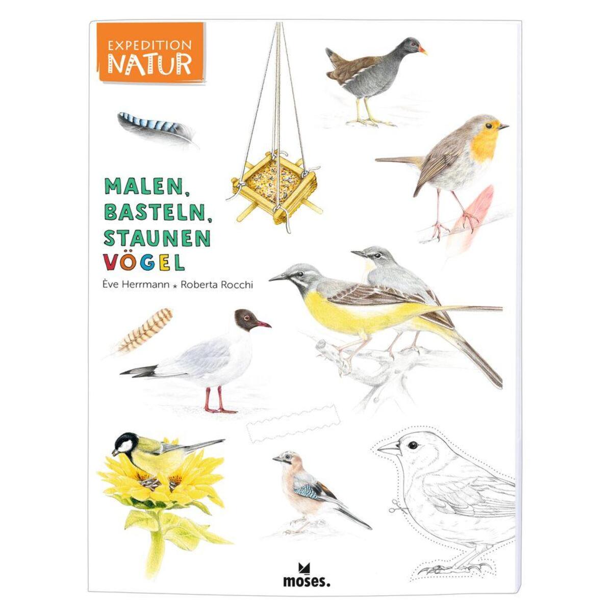 Malen, Basteln, Staunen - Vögel Malen, Basteln, Staunen - Vögel von Moses. Verlag GmbH