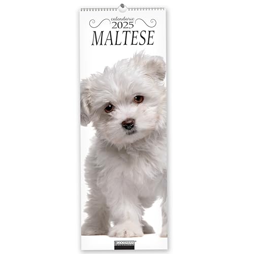 Maltese. Calendario 2025. Long Maltese. Calendario 2025. Long von Sprea Editori