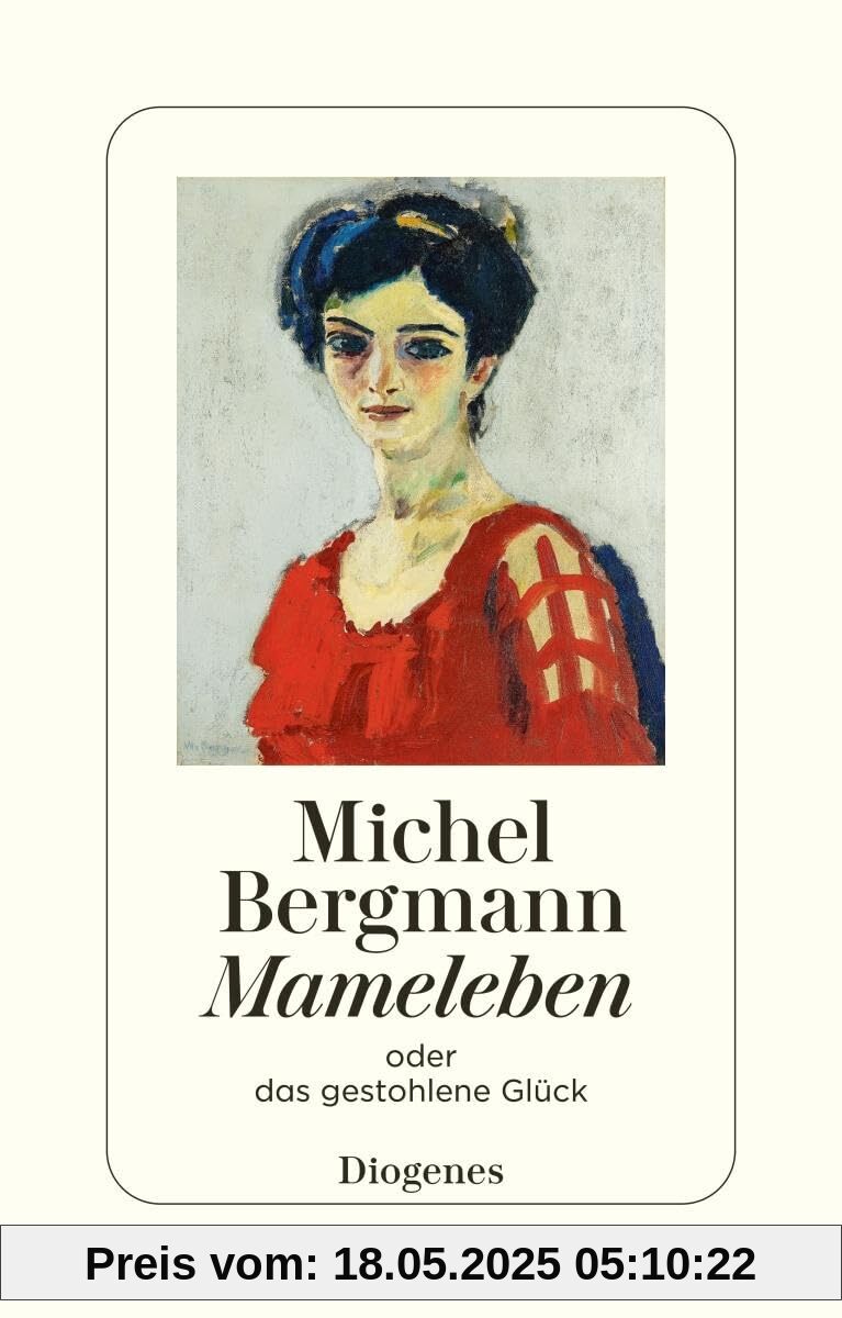 Mameleben: oder das gestohlene Glück (detebe)
