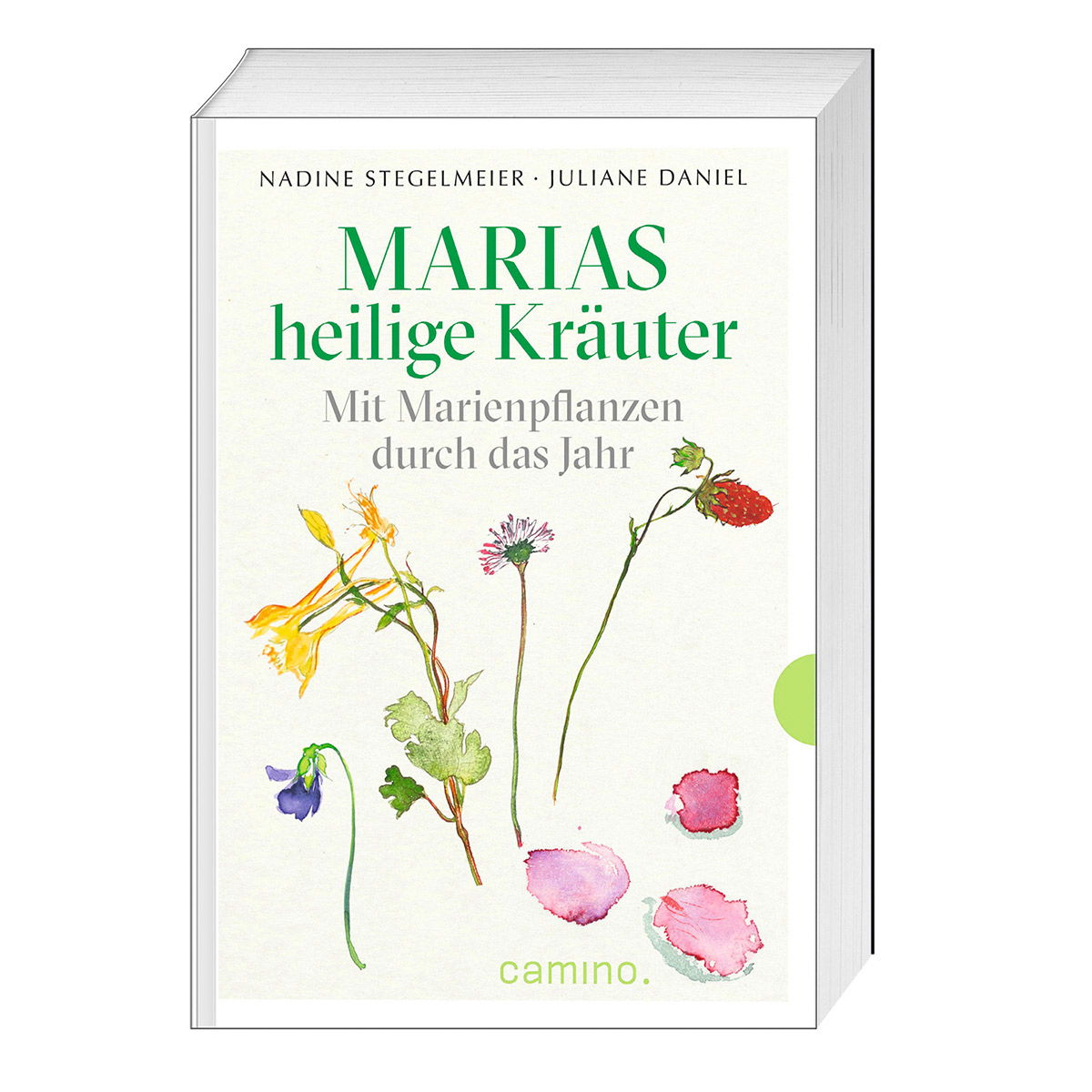 Marias heilige Kräuter von camino Verlag